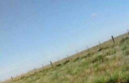 Sin plata para los caminos rurales...aunque sí para la campaña