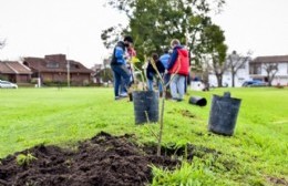 Más de 70 ejemplares de especies nativas se plantaron en distintos puntos de nuestra ciudad