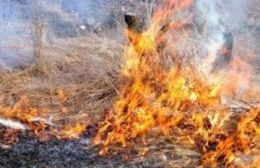 Bomberos sofocaron incendio de árboles y pastizal