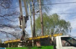 Reparación de luminarias en diversos sectores de la ciudad