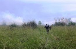 Tres incendios de pastizales en poco más de una hora