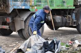 Jornadas de limpieza: tareas diarias para mantener la ciudad limpia