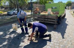 Trabajos de bacheo en calle Mazzini
