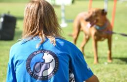 Preparan festival de mascotas en el Parque libres del Sur