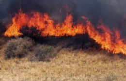 Los bomberos sofocaron una quema de pastizales en camino puente Girado