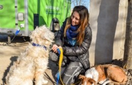 Turnos para castraciones en el Barrio 30 de Mayo