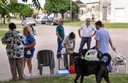 Comienza la campaña de vacunación antirrábica