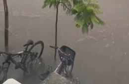 Más de 100 milímetros de lluvia: anegamientos temporarios y complicaciones en diversos sectores