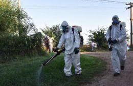 Operativo de fumigación para prevenir el dengue