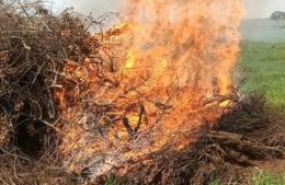Verano sin incendios: c&oacute;mo evitar riesgos para cuidar el ambiente