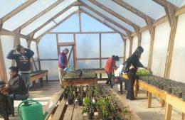 La Plantinera del Centro de Día ya tiene su primera producción