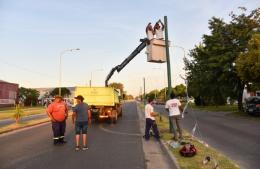 El ave emblema de Chascomús será la temática del Carnaval Infantil