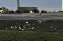 Acumulación de basura en el barrio San Cayetano