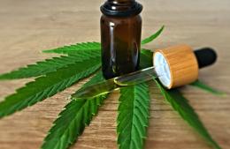 CBD y salud cardiovascular: lo que muestran los estudios sobre presión arterial y estrés