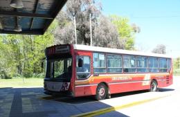 La línea 381 regresó a sus horarios habituales