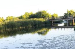 “Tenemos que disparar la discusión sobre qué hacer con la laguna”